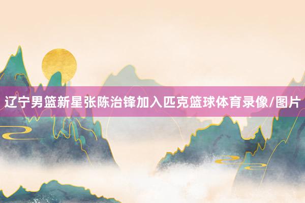 辽宁男篮新星张陈治锋加入匹克篮球体育录像/图片
