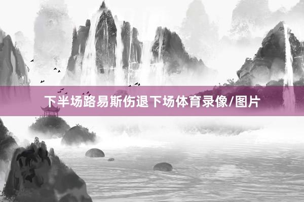 下半场路易斯伤退下场体育录像/图片