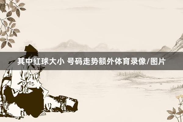其中红球大小 号码走势额外体育录像/图片