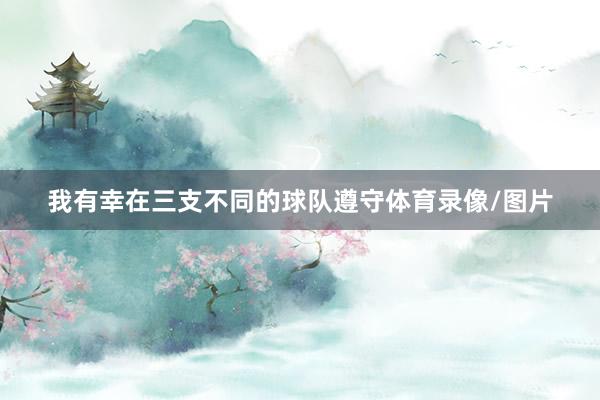 我有幸在三支不同的球队遵守体育录像/图片