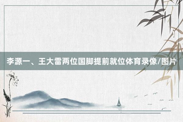 李源一、王大雷两位国脚提前就位体育录像/图片