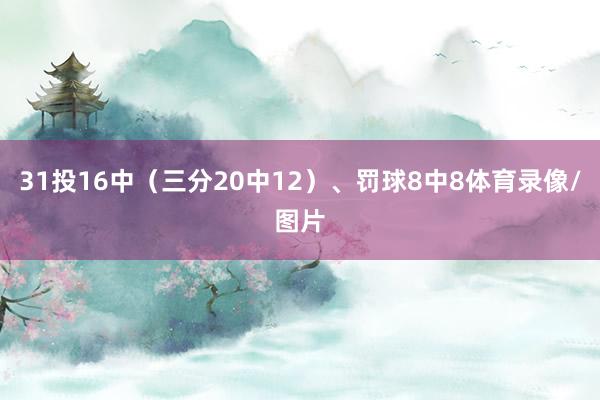 31投16中(三分20中12)、罚球8中8体育录像/图片