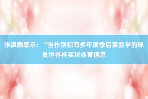 张镇麟默示:“当作别称有多年度季后赛教学的球员世界杯买球体育信息