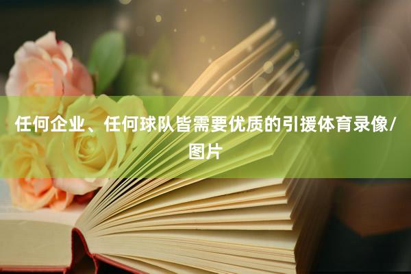 任何企业、任何球队皆需要优质的引援体育录像/图片