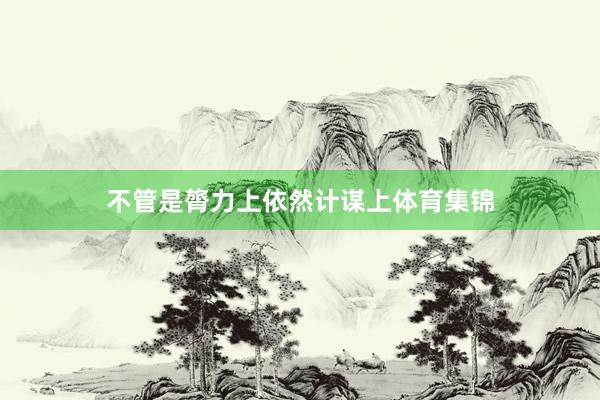 不管是膂力上依然计谋上体育集锦