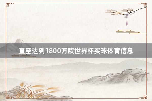 直至达到1800万欧世界杯买球体育信息