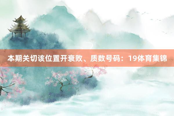 本期关切该位置开衰败、质数号码：19体育集锦