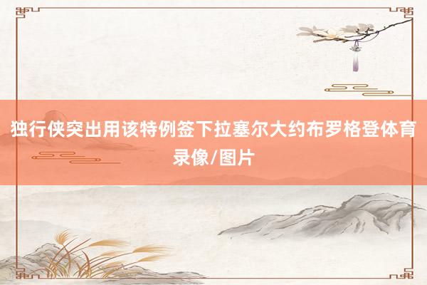独行侠突出用该特例签下拉塞尔大约布罗格登体育录像/图片