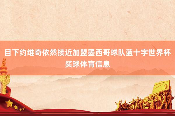 目下约维奇依然接近加盟墨西哥球队蓝十字世界杯买球体育信息