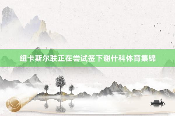 纽卡斯尔联正在尝试签下谢什科体育集锦