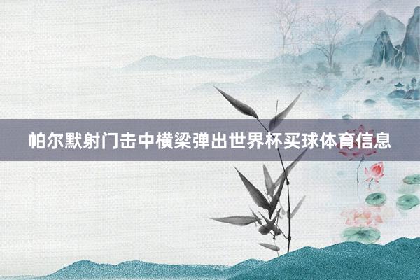 帕尔默射门击中横梁弹出世界杯买球体育信息