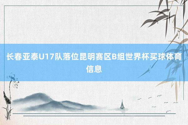 长春亚泰U17队落位昆明赛区B组世界杯买球体育信息