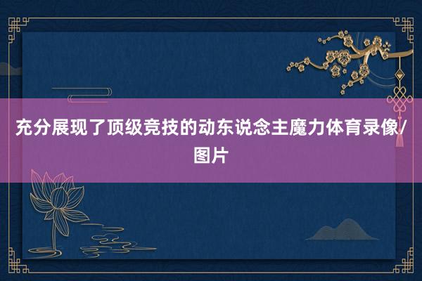 充分展现了顶级竞技的动东说念主魔力体育录像/图片