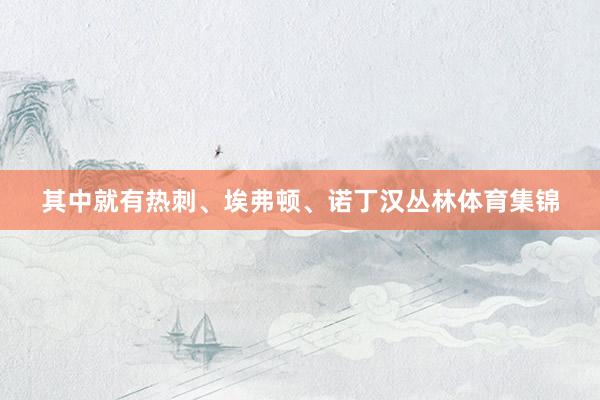 其中就有热刺、埃弗顿、诺丁汉丛林体育集锦