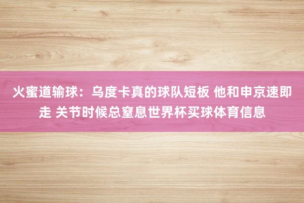 火蜜道输球：乌度卡真的球队短板 他和申京速即走 关节时候总窒息世界杯买球体育信息