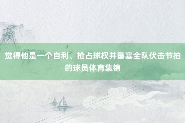 觉得他是一个自利、抢占球权并壅塞全队伏击节拍的球员体育集锦