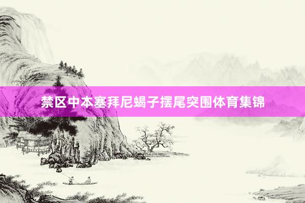 禁区中本塞拜尼蝎子摆尾突围体育集锦