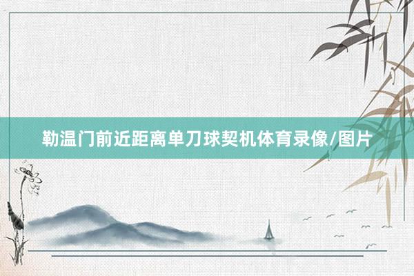 勒温门前近距离单刀球契机体育录像/图片