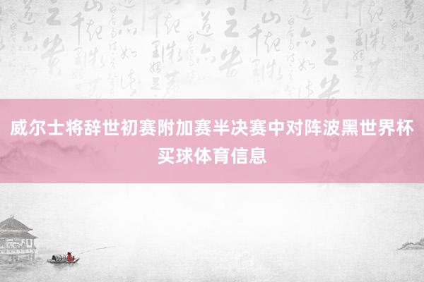 威尔士将辞世初赛附加赛半决赛中对阵波黑世界杯买球体育信息