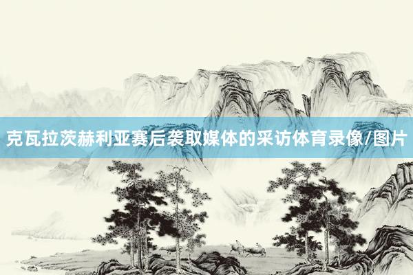 克瓦拉茨赫利亚赛后袭取媒体的采访体育录像/图片