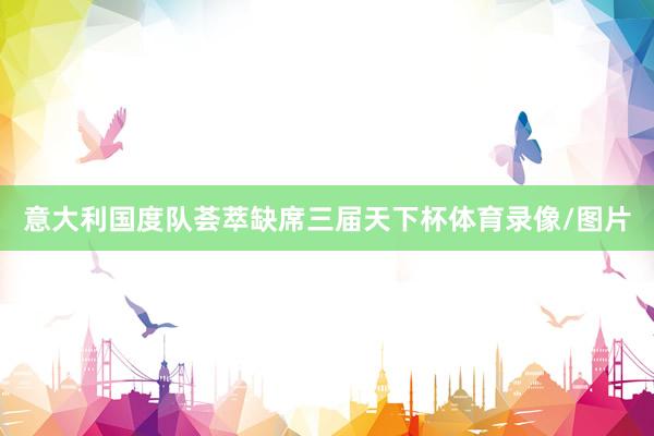 意大利国度队荟萃缺席三届天下杯体育录像/图片