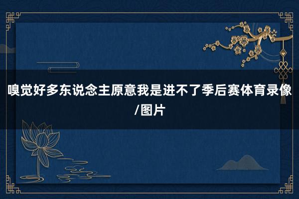 嗅觉好多东说念主原意我是进不了季后赛体育录像/图片