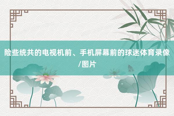 险些统共的电视机前、手机屏幕前的球迷体育录像/图片