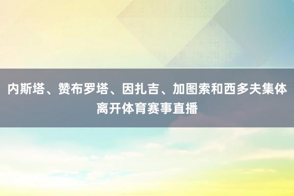 内斯塔、赞布罗塔、因扎吉、加图索和西多夫集体离开体育赛事直播