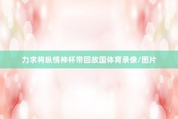力求将纵情神杯带回故国体育录像/图片