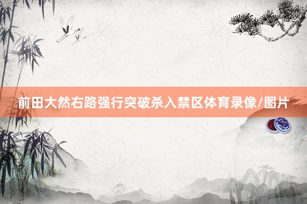 前田大然右路强行突破杀入禁区体育录像/图片